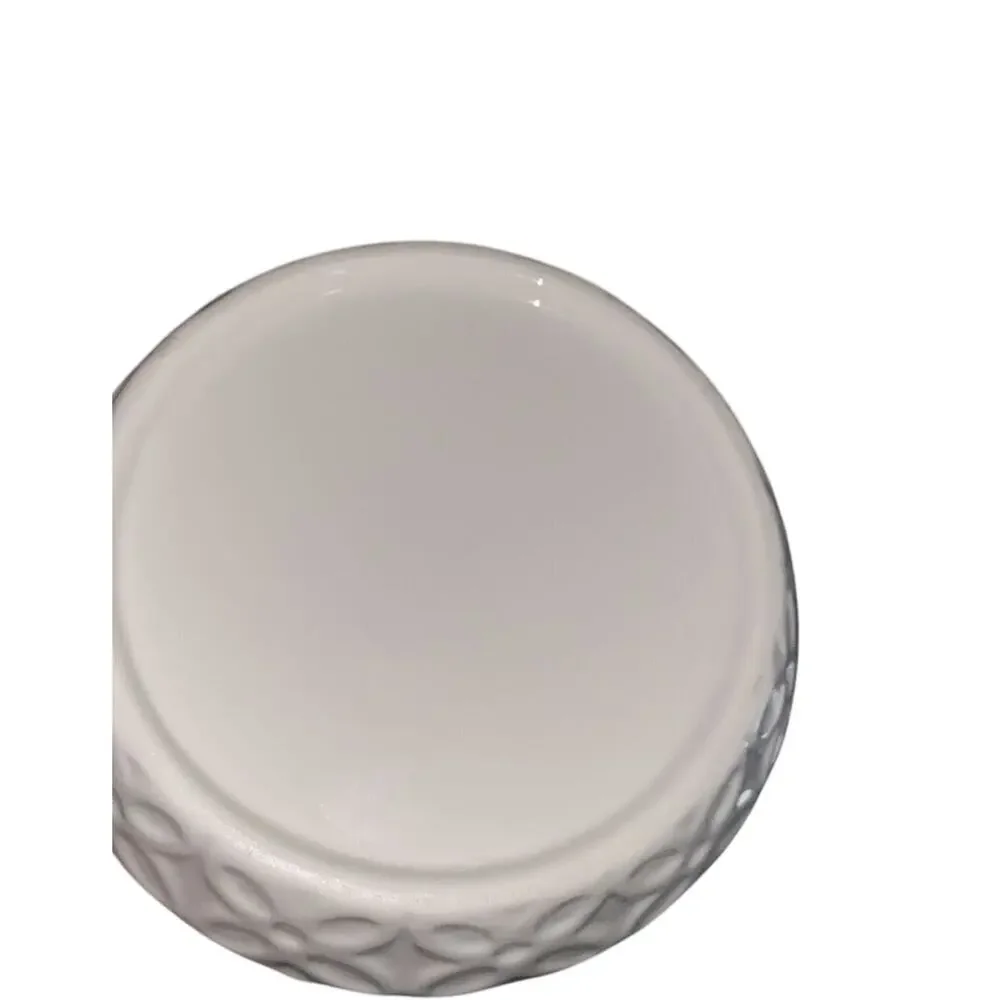 Cute Succulent Jewelry dish, aloe themed, green and white